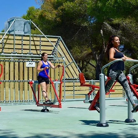 Holacamp Fun Σίτζες